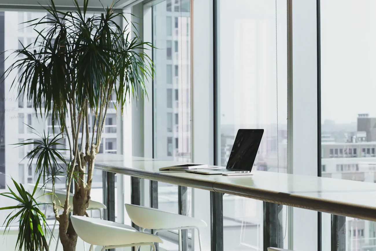 Light-filled workspace with a laptop, indoor plants and a city view